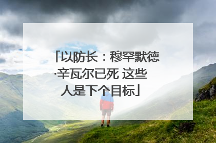 以防长：穆罕默德·辛瓦尔已死 这些人是下个目标