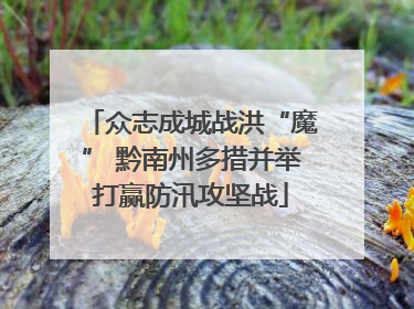 众志成城战洪“魔” 黔南州多措并举打赢防汛攻坚战