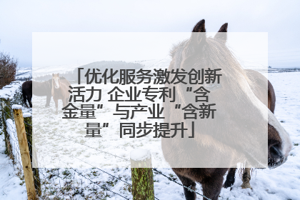 优化服务激发创新活力 企业专利“含金量”与产业“含新量”同步提升