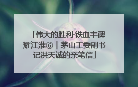 伟大的胜利·铁血丰碑耀江淮⑥｜茅山工委副书记洪天诚的亲笔信