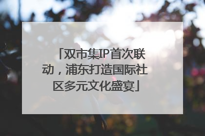 双市集IP首次联动，浦东打造国际社区多元文化盛宴