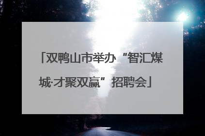 双鸭山市举办“智汇煤城·才聚双赢”招聘会