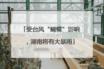 受台风“蝴蝶”影响，湖南将有大暴雨