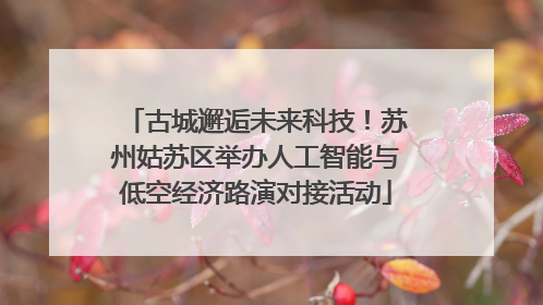 古城邂逅未来科技！苏州姑苏区举办人工智能与低空经济路演对接活动