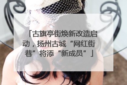 古旗亭街焕新改造启动，扬州古城“网红街巷”将添“新成员”