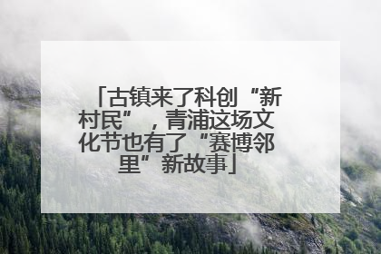 古镇来了科创“新村民”，青浦这场文化节也有了“赛博邻里”新故事