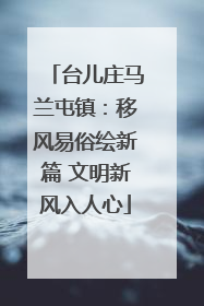 台儿庄马兰屯镇：移风易俗绘新篇 文明新风入人心