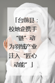 台前县：校地企携手“链”动 为羽绒产业注入“匠心动能”