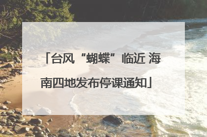 台风“蝴蝶”临近 海南四地发布停课通知