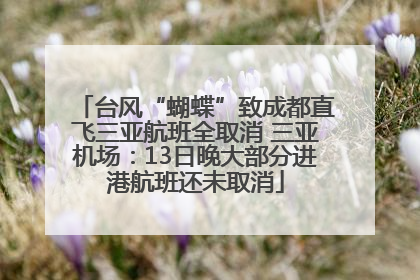 台风“蝴蝶”致成都直飞三亚航班全取消 三亚机场：13日晚大部分进港航班还未取消