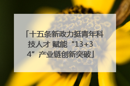 十五条新政力挺青年科技人才 赋能“13+34”产业链创新突破