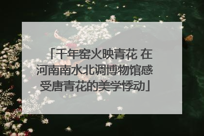 千年窑火映青花 在河南南水北调博物馆感受唐青花的美学悸动