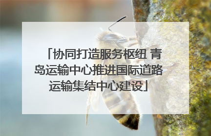 协同打造服务枢纽 青岛运输中心推进国际道路运输集结中心建设