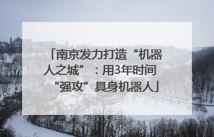 南京发力打造“机器人之城”：用3年时间“强攻”具身机器人