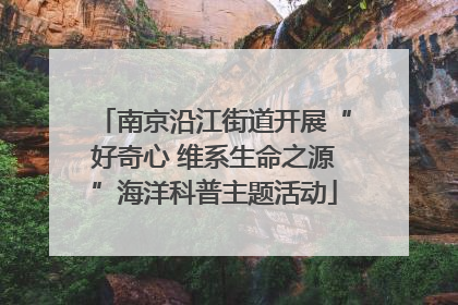 南京沿江街道开展“好奇心 维系生命之源”海洋科普主题活动