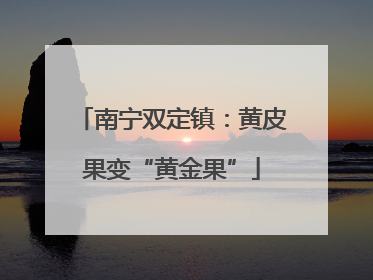 南宁双定镇：黄皮果变“黄金果”