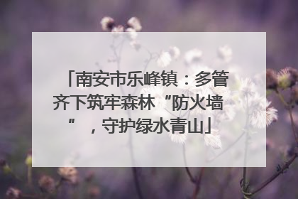 南安市乐峰镇：多管齐下筑牢森林“防火墙”，守护绿水青山