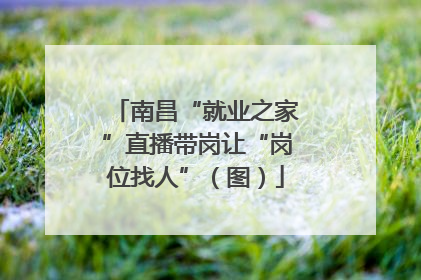 南昌“就业之家”直播带岗让“岗位找人”（图）