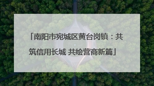 南阳市宛城区黄台岗镇：共筑信用长城 共绘营商新篇