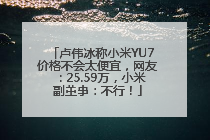 卢伟冰称小米YU7价格不会太便宜，网友：25.59万，小米副董事：不行！