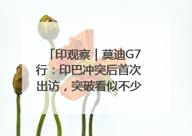 印观察｜莫迪G7行：印巴冲突后首次出访，突破看似不少实质成果不多