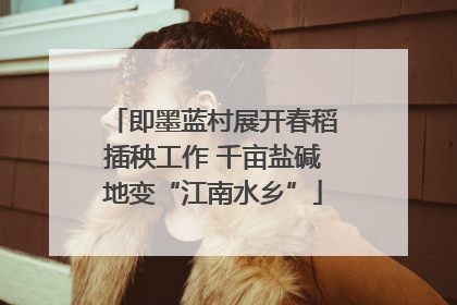 即墨蓝村展开春稻插秧工作 千亩盐碱地变“江南水乡”