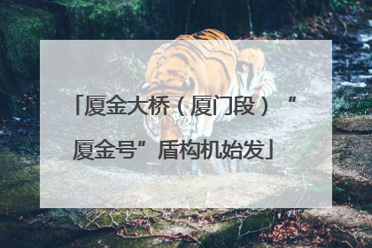 厦金大桥（厦门段）“厦金号”盾构机始发