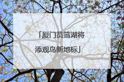 厦门筼筜湖将添观鸟新地标