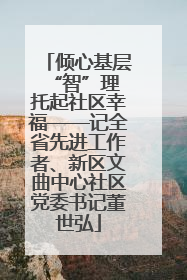 倾心基层“智”理 托起社区幸福——记全省先进工作者、新区文曲中心社区党委书记董世弘