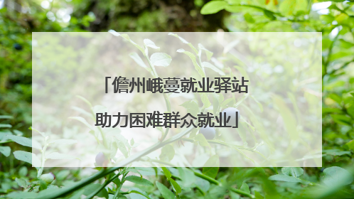 儋州峨蔓就业驿站助力困难群众就业