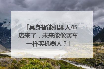 具身智能机器人4S店来了，未来能像买车一样买机器人？