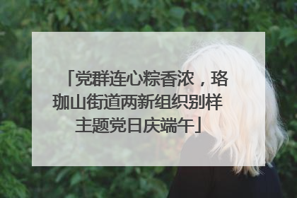 党群连心粽香浓，珞珈山街道两新组织别样主题党日庆端午