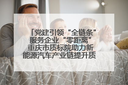 党建引领“全链条” 服务企业“零距离” 重庆市质标院助力新能源汽车产业链提升质量管理水平