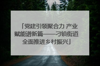 党建引领聚合力 产业赋能谱新篇——刁镇街道全面推进乡村振兴