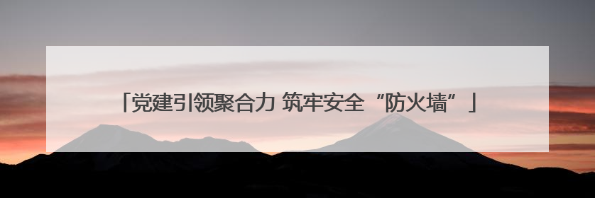 党建引领聚合力 筑牢安全“防火墙”
