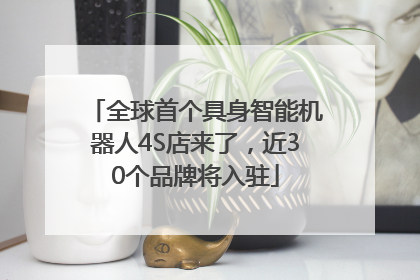 全球首个具身智能机器人4S店来了，近30个品牌将入驻