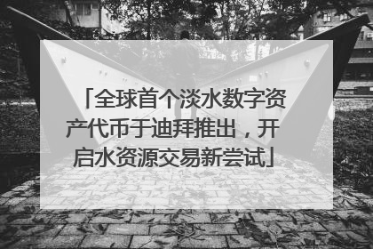 全球首个淡水数字资产代币于迪拜推出，开启水资源交易新尝试