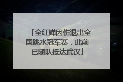 全红婵因伤退出全国跳水冠军赛，此前已随队抵达武汉