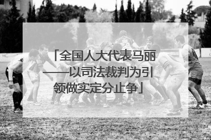全国人大代表马丽——以司法裁判为引领做实定分止争