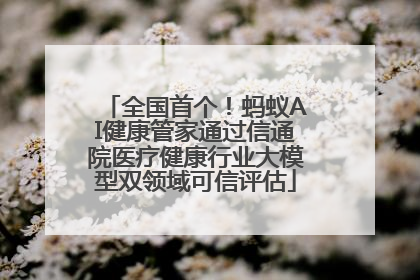 全国首个！蚂蚁AI健康管家通过信通院医疗健康行业大模型双领域可信评估