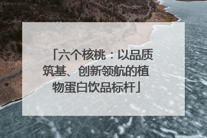 六个核桃：以品质筑基、创新领航的植物蛋白饮品标杆