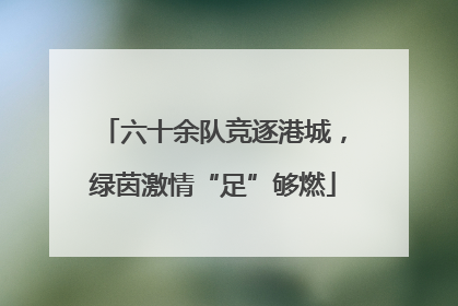 六十余队竞逐港城，绿茵激情“足”够燃