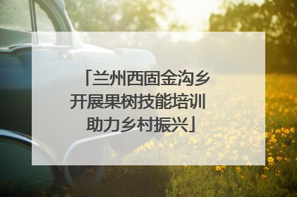 兰州西固金沟乡开展果树技能培训 助力乡村振兴