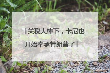 关税大棒下，卡尼也开始奉承特朗普了