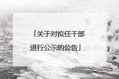 关于对拟任干部进行公示的公告