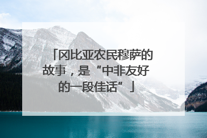 冈比亚农民穆萨的故事，是“中非友好的一段佳话”