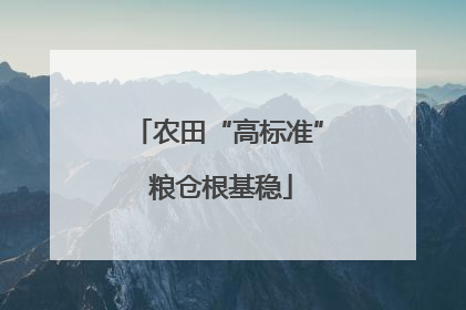 农田“高标准” 粮仓根基稳