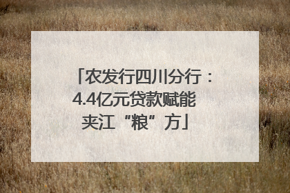 农发行四川分行：4.4亿元贷款赋能夹江“粮”方