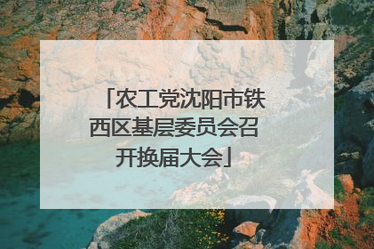 农工党沈阳市铁西区基层委员会召开换届大会