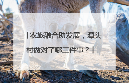农旅融合助发展，潭头村做对了哪三件事？